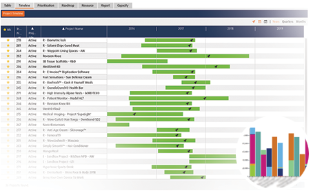 Smart PPM Software - Strategic Planning Project Portfolio - Developing a balanced portfolio screenshot