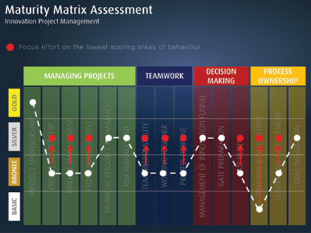 Other PPM Services - Innovation Consultants - Innovation Process Maturity Tools