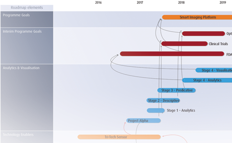 illustration of project, program, technology roadmaps for medical device manufacturers and med tech companies