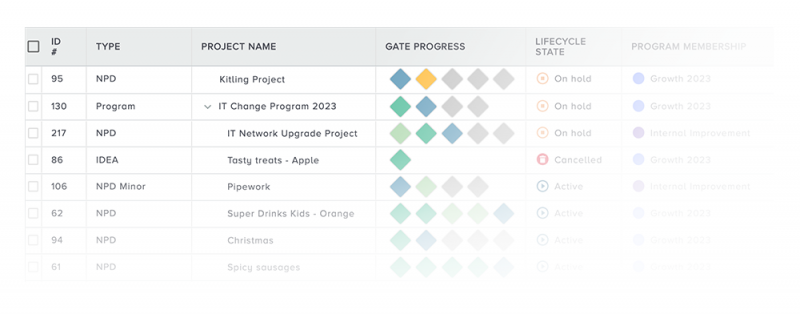 Image of portfolio list view in Bubble PPM Software